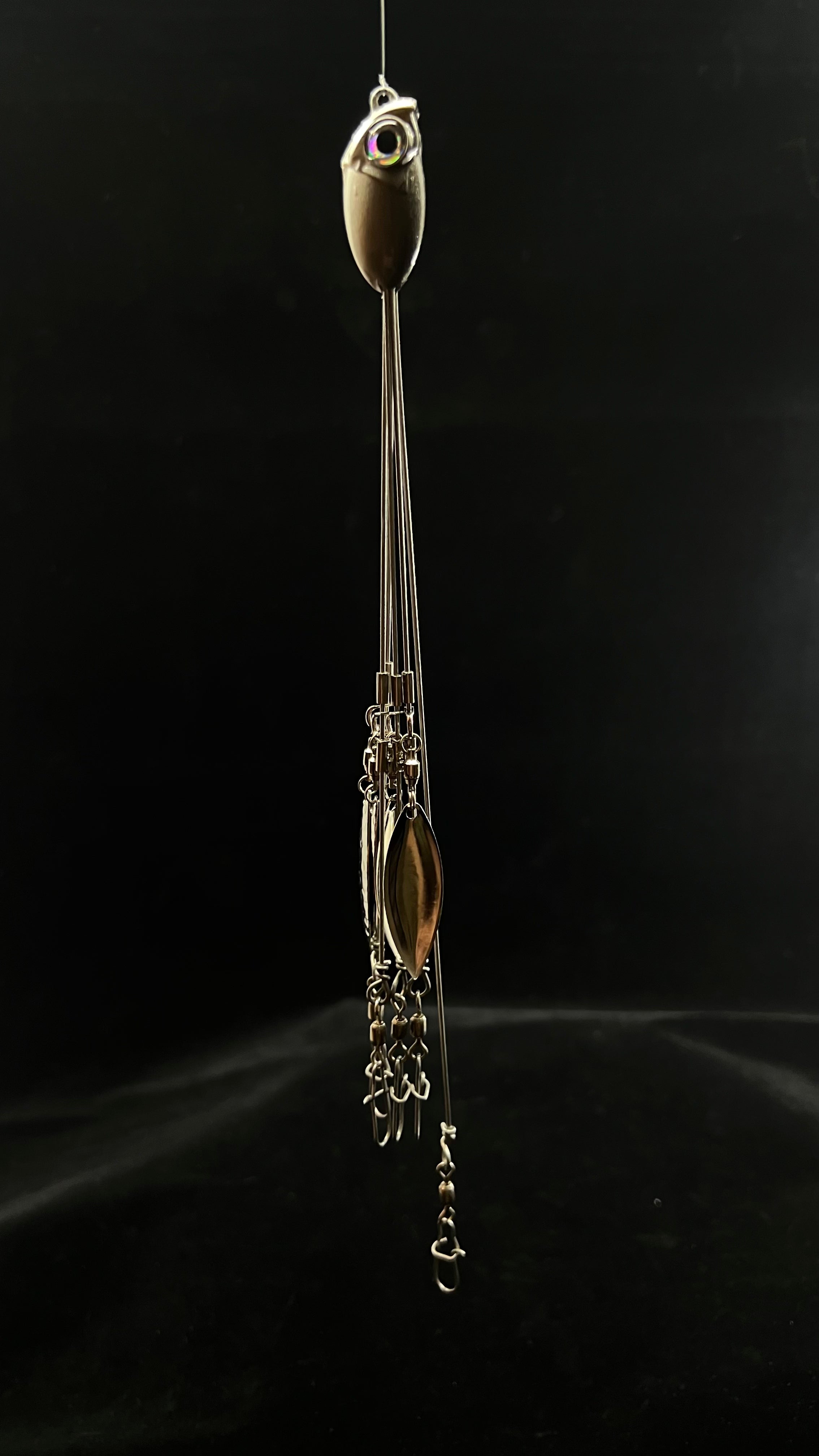VK Rig Bait Fish ( The Paul is Complaining color ) – Viking Heads